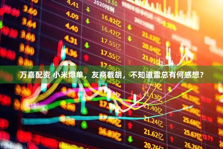 万嘉配资 小米爆单，友商截胡，不知道雷总有何感想？