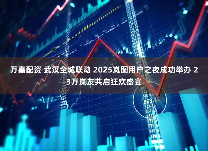 万嘉配资 武汉全城联动 2025岚图用户之夜成功举办 23万岚友共启狂欢盛宴